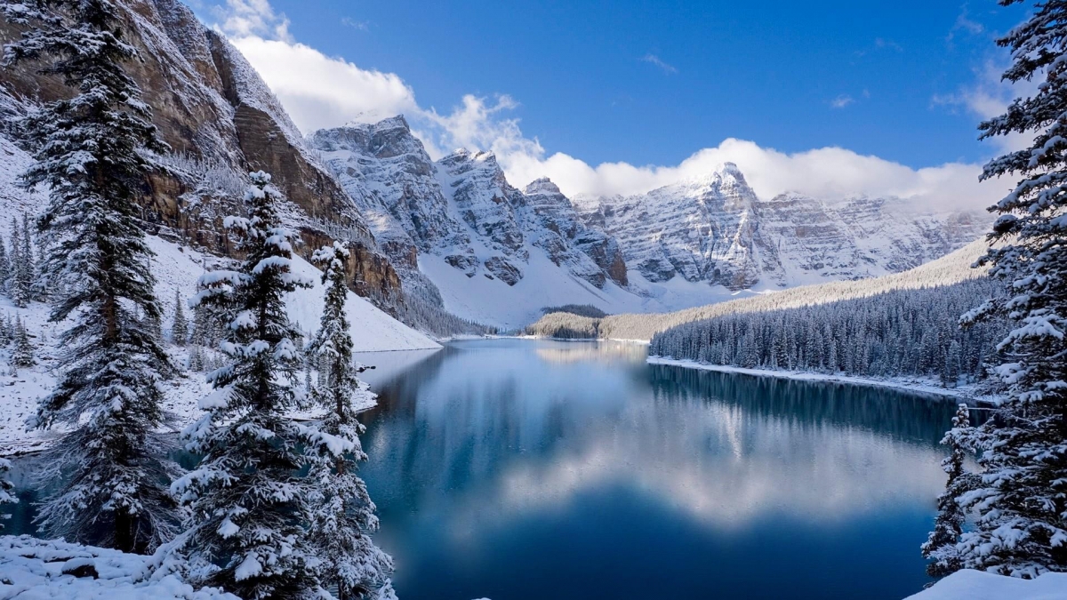 Rozw&oacute;j DCCCLXXXVIII