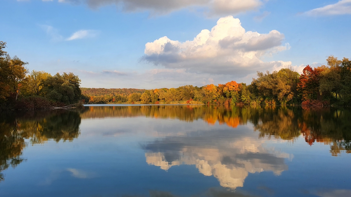 Rozw&oacute;j MCCCXX