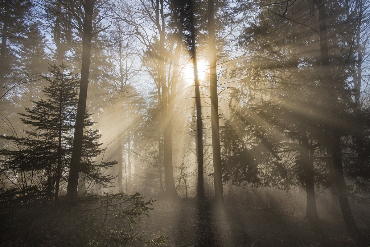 Rozw&oacute;j DCCCXLV