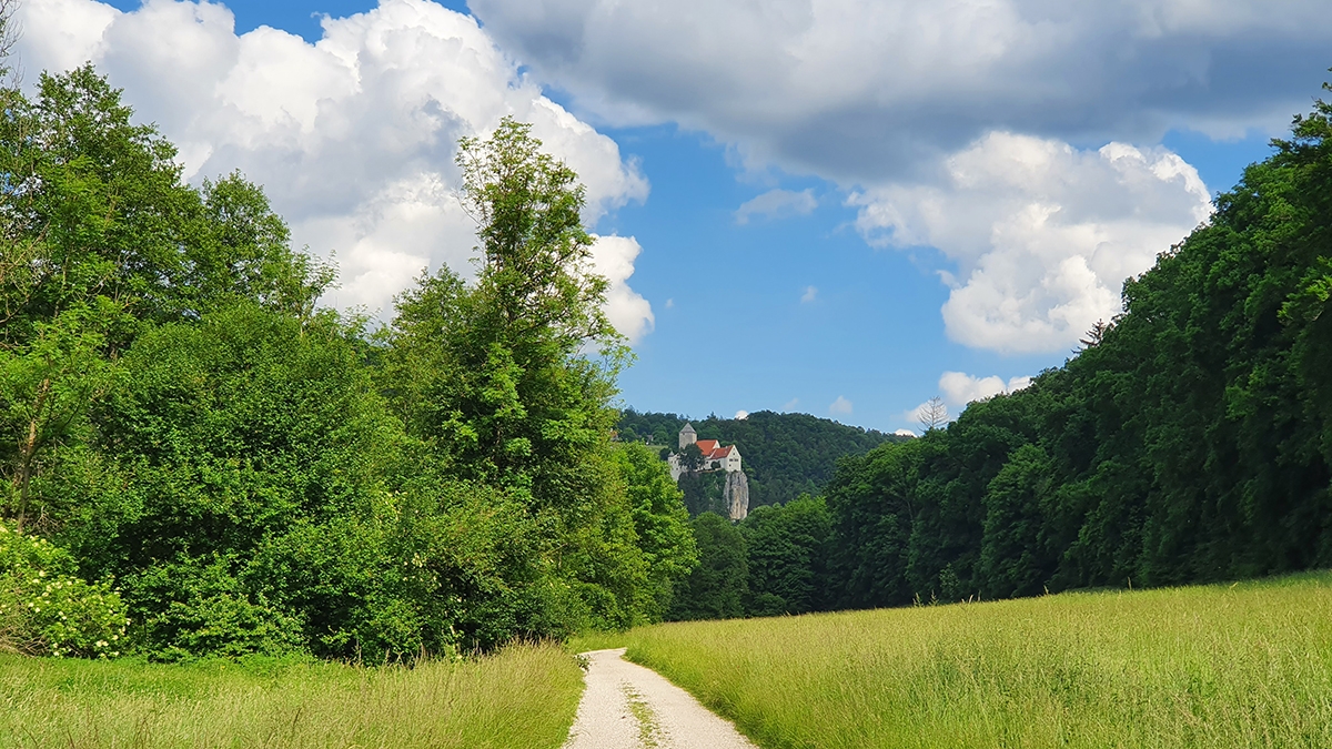 Rozw&oacute;j CCCXXV