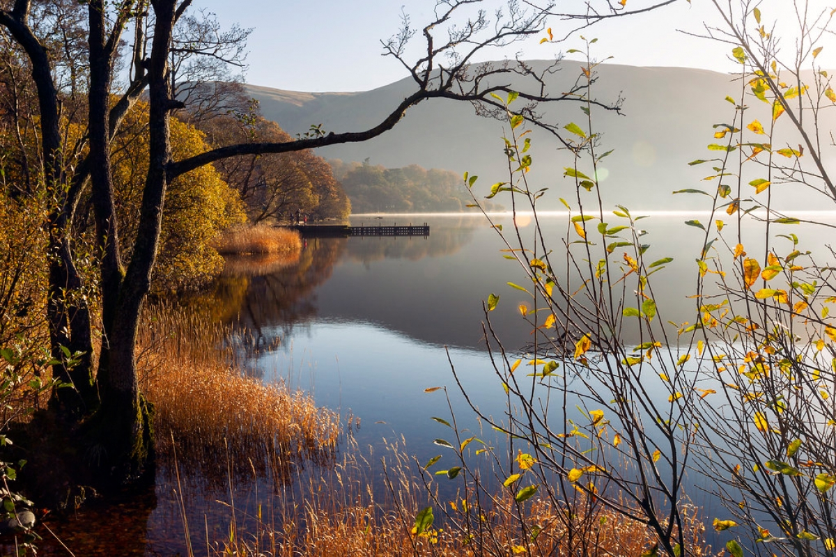 Rozw&oacute;j DCCCXXIX