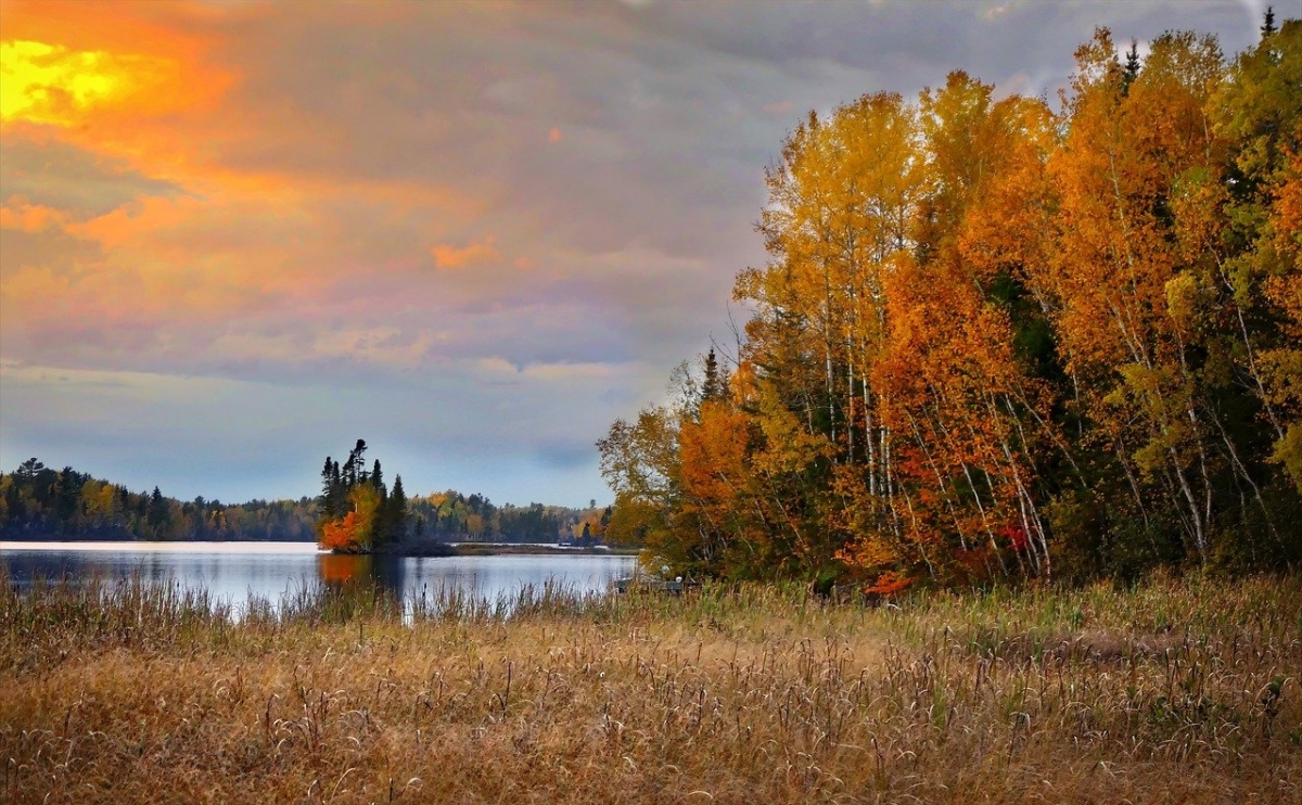 Rozw&oacute;j DCCCXXXVIII