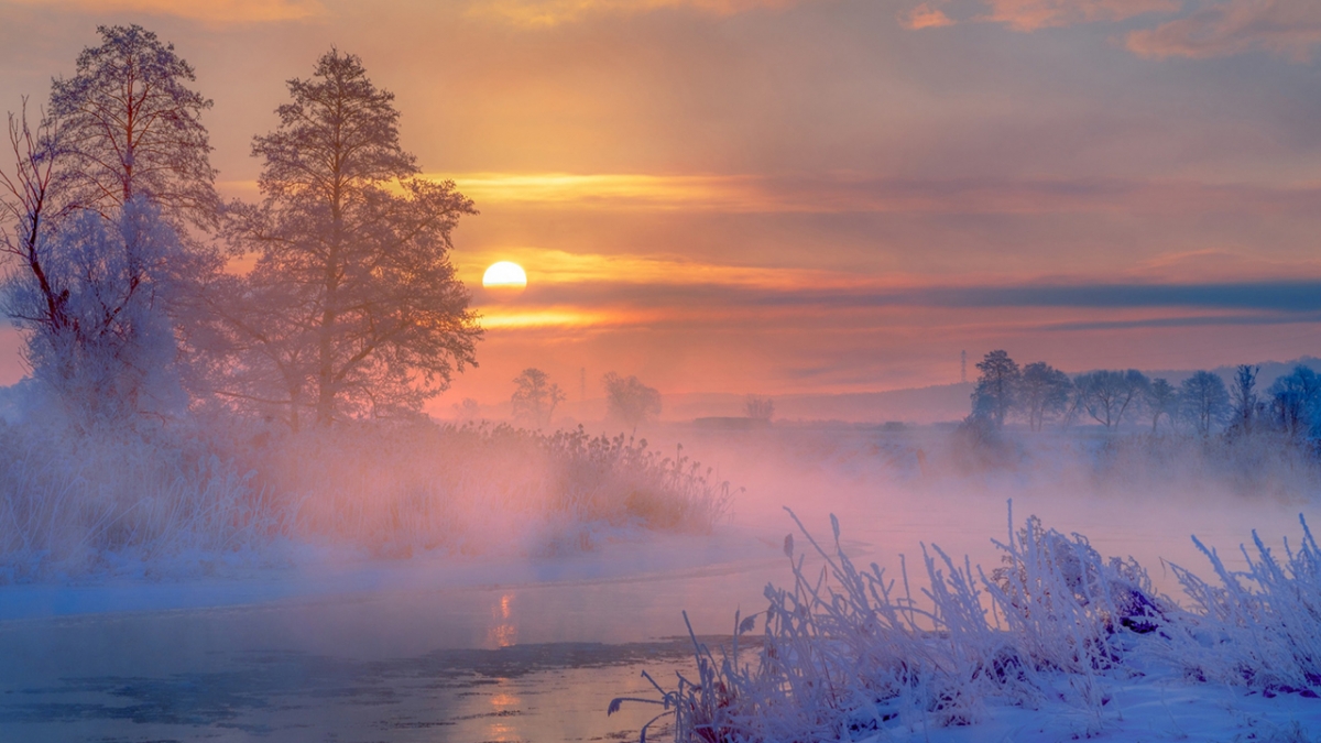 Rozw&oacute;j MCCCXXIX