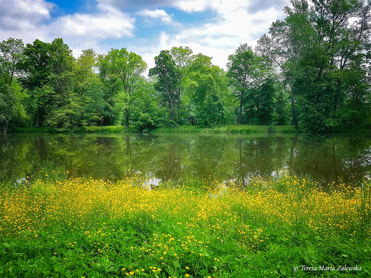 Rozw&oacute;j DLXXVI