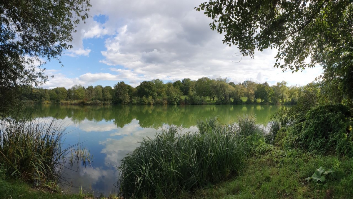 Rozw&oacute;j MCCCLXXVIII