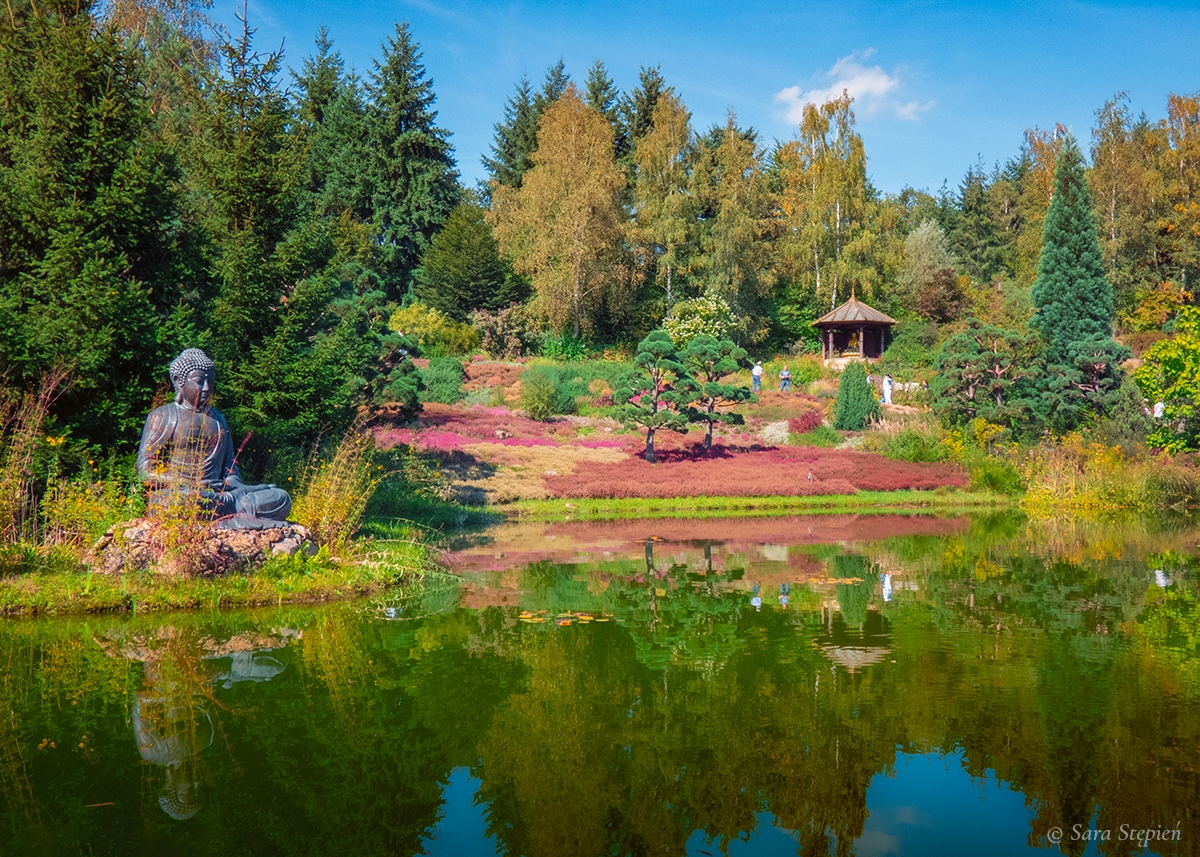 Rozw&oacute;j CDXCIII