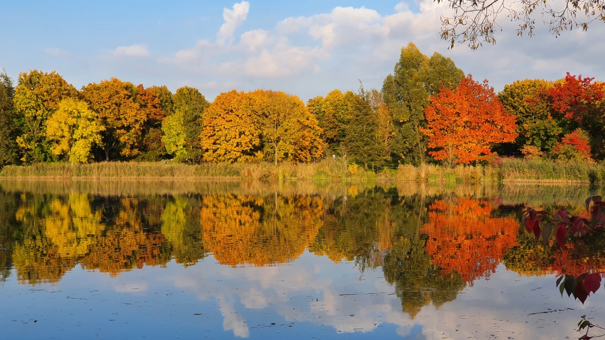 Rozw&oacute;j MCCCXVIII