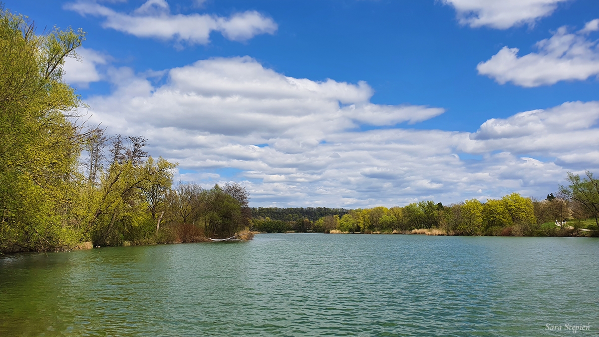 Rozw&oacute;j MCXIII