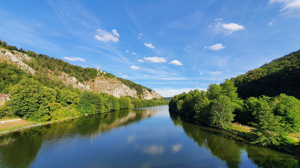 Rozw&oacute;j MCCLXXXVI