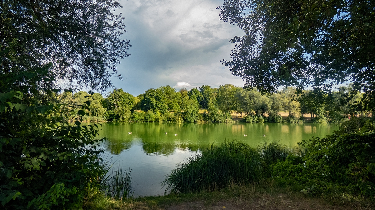 Rozw&oacute;j MCCLXXVII