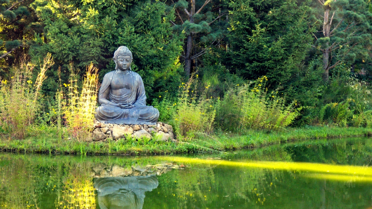 Rozw&oacute;j MCCCVI