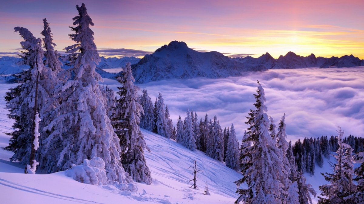 Rozw&oacute;j DCCCXCII