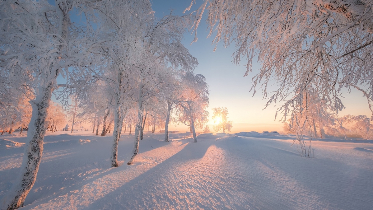 Rozw&oacute;j MCCCXXXI