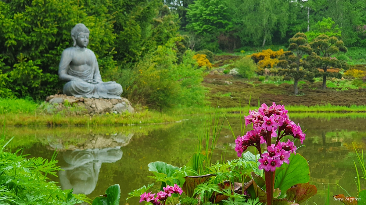 Rozw&oacute;j MCXXIV