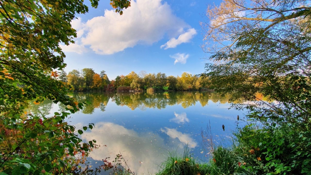 Rozw&oacute;j MCCCLXXXIX