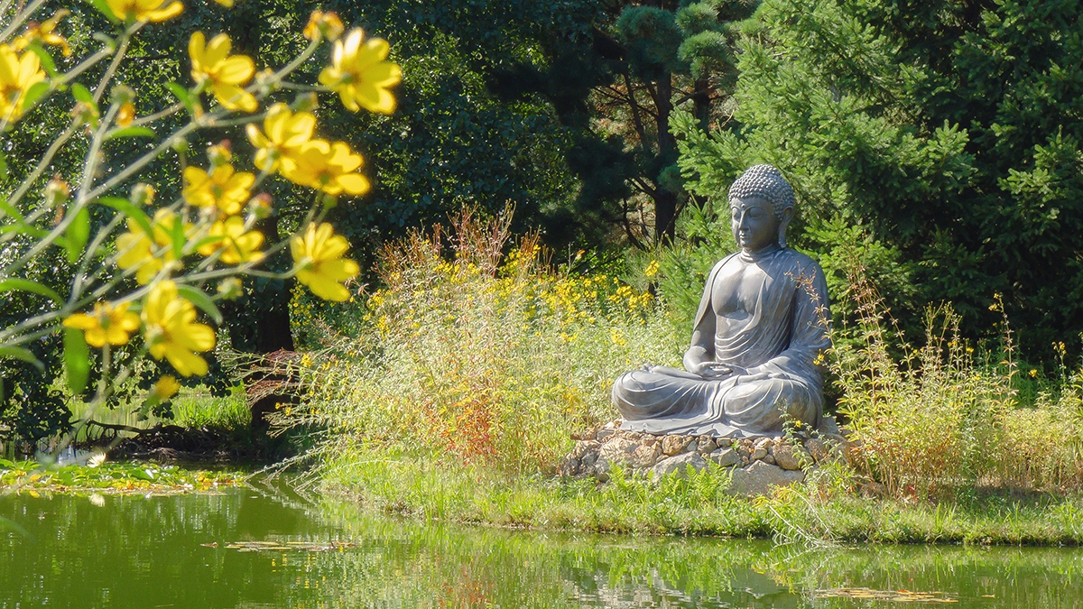 Rozw&oacute;j MCCCIII