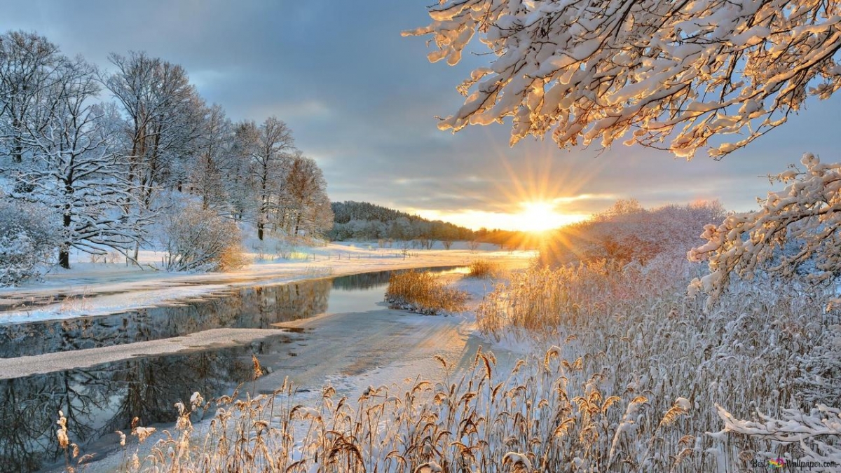 Rozw&oacute;j MCCCXXXVII