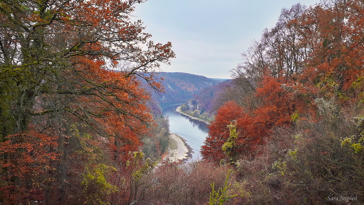 Rozw&oacute;j MXLIII