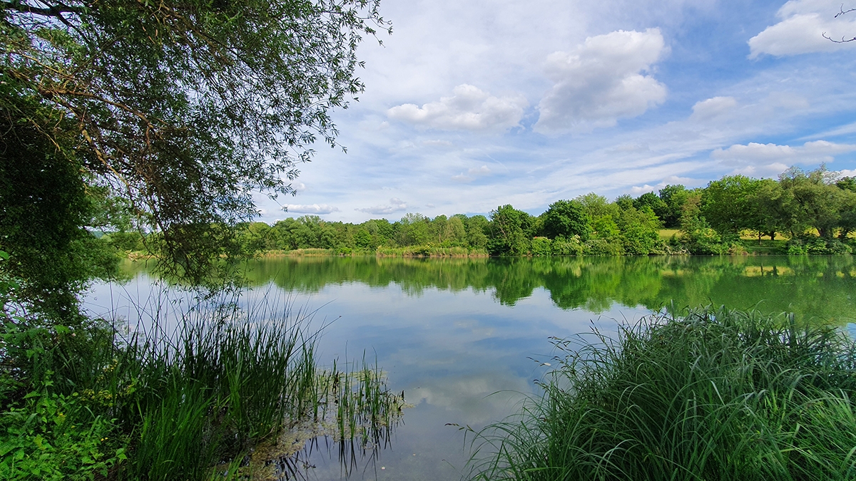 Rozw&oacute;j MCCXLIX