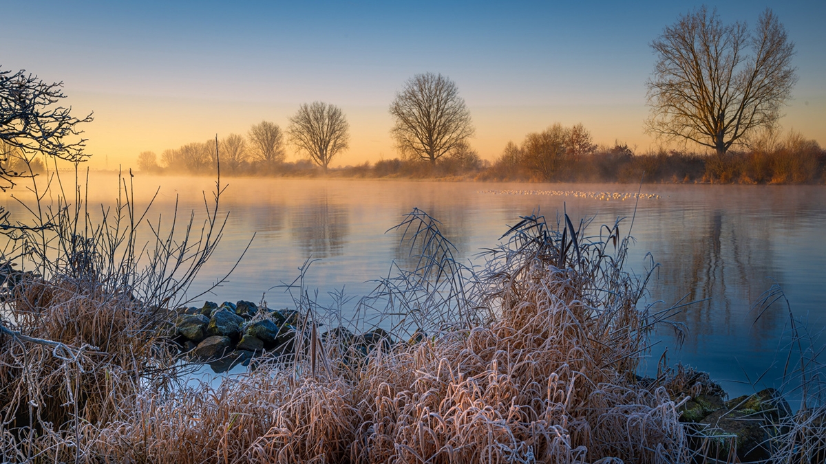 Rozw&oacute;j CCXXVIII