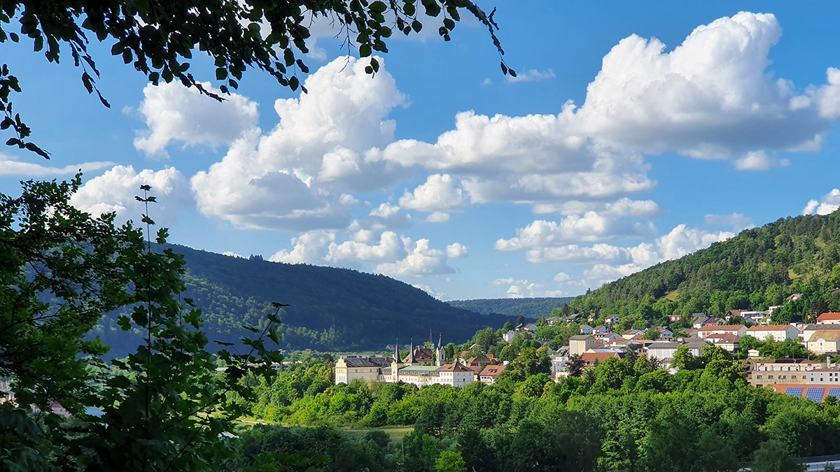 Rozw&oacute;j CCCXXIII