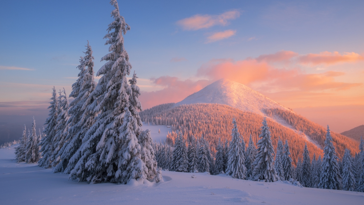 Rozw&oacute;j DCCCLXXXVII