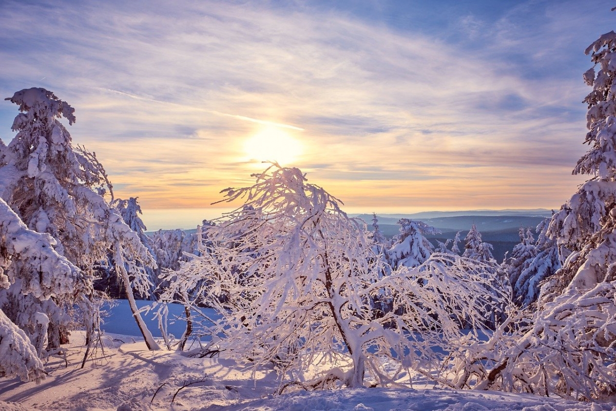 Rozw&oacute;j DCCCLXXI