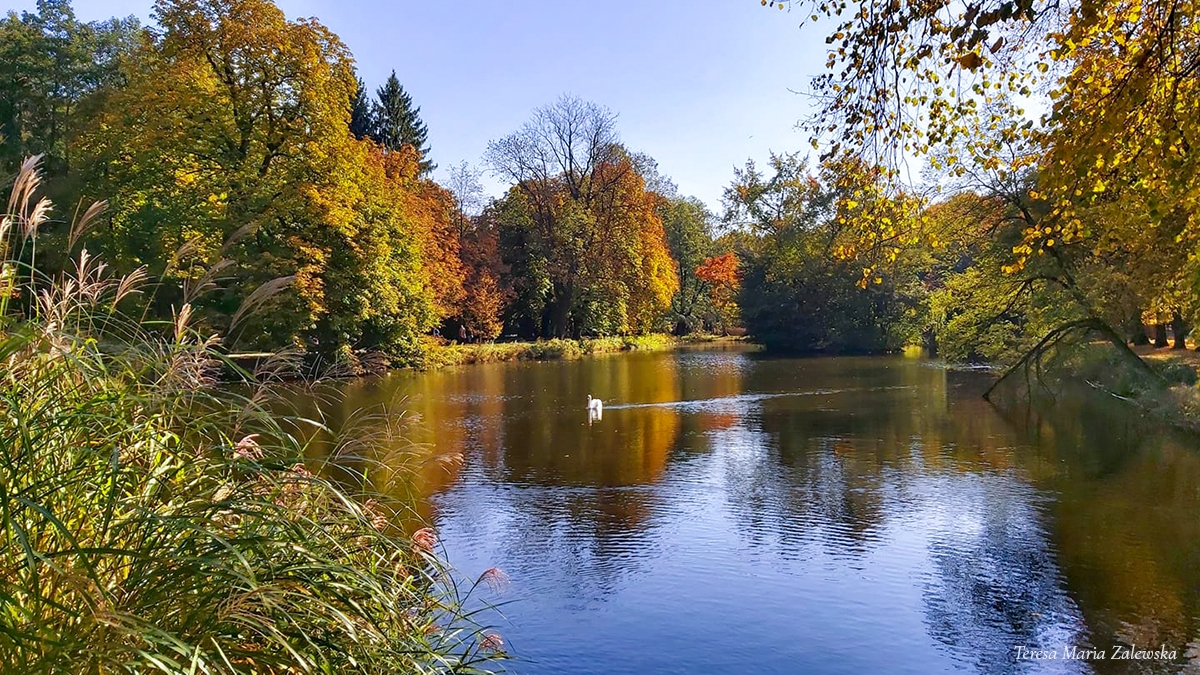 Rozw&oacute;j MXXVII