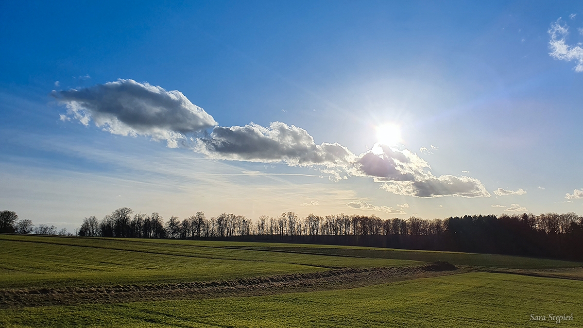 Rozw&oacute;j MLXXXIV