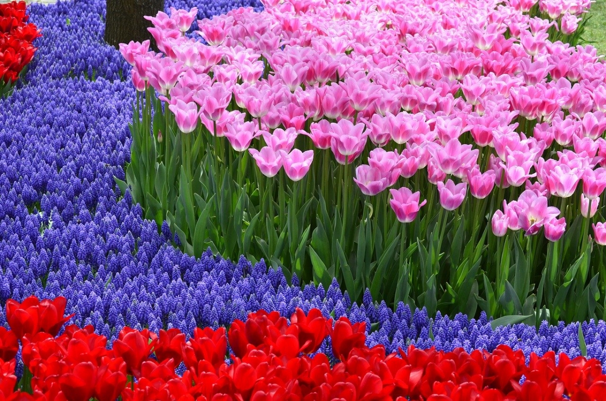 Rozw&oacute;j DCLXVII