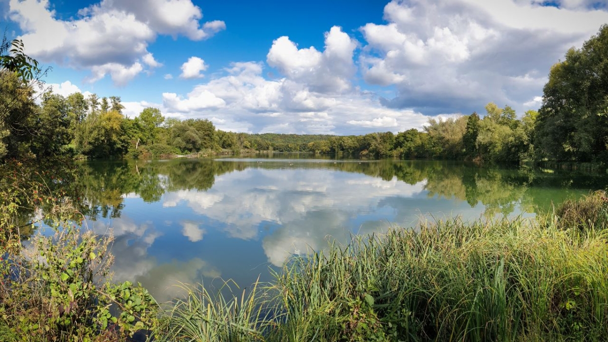 Rozw&oacute;j MDXXVII