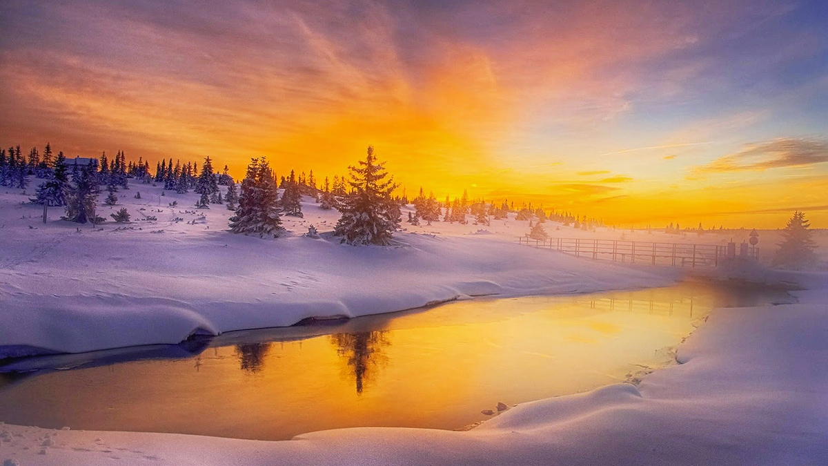 Rozw&oacute;j CCXXIX