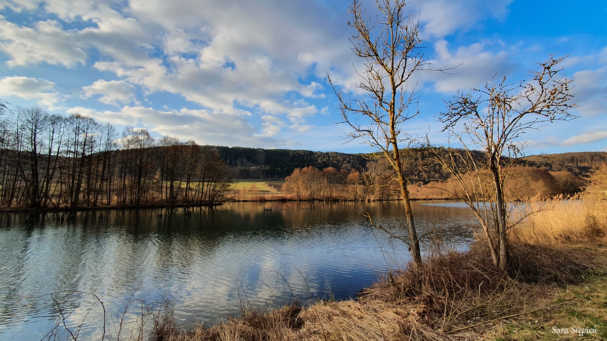 Rozw&oacute;j MLXXXIX