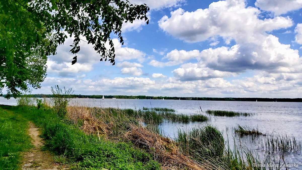 Rozw&oacute;j CMLXII