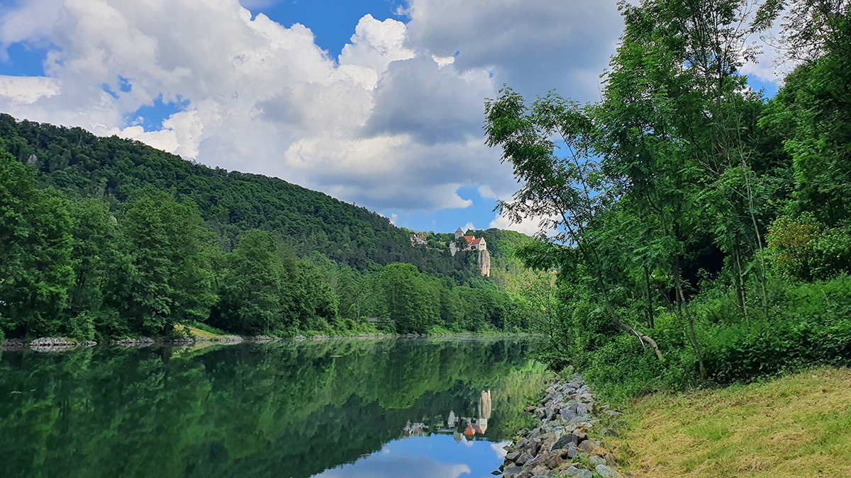 Rozw&oacute;j CCCXXIV