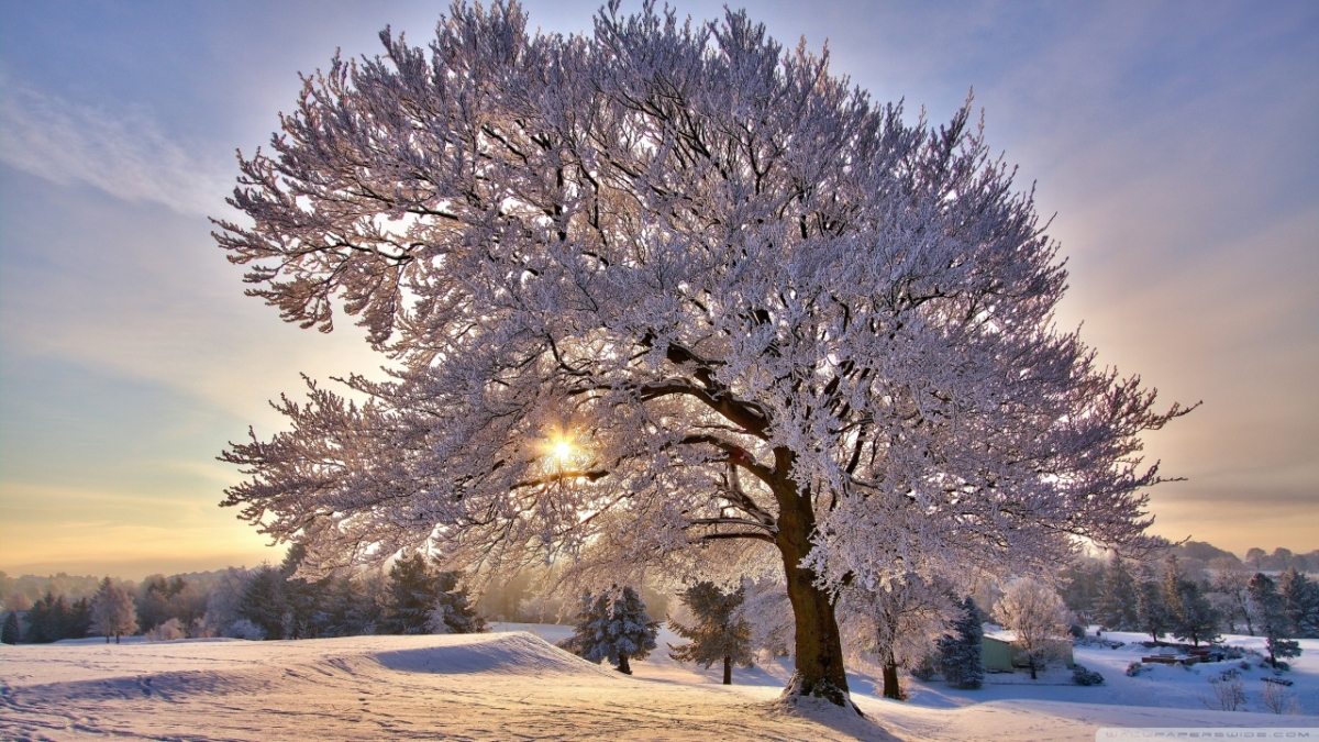 Rozw&oacute;j DCCCXC