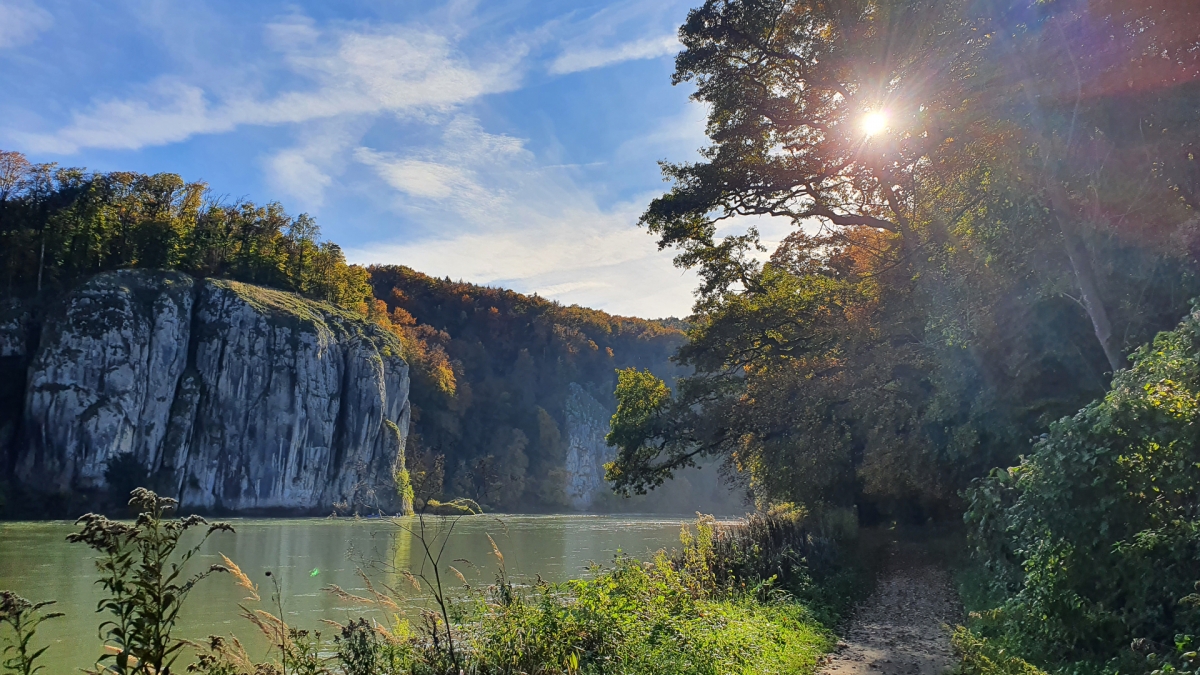 Rozw&oacute;j MCCCXII