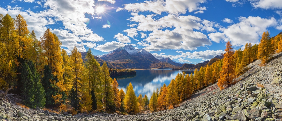 Rozw&oacute;j DCCCXXIV