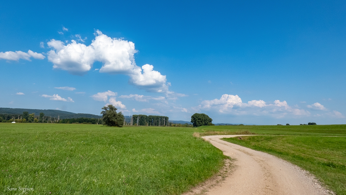 Rozw&oacute;j CXLVII