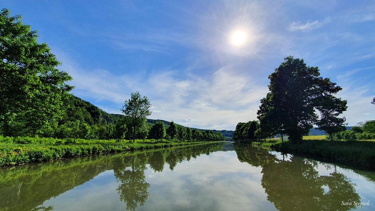 Rozw&oacute;j MCCXLIV