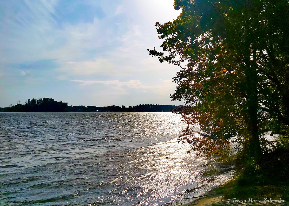 Rozw&oacute;j DCCCIV