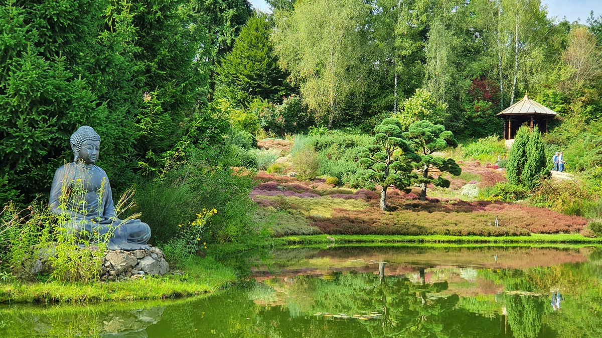 Rozw&oacute;j MCCXCIX