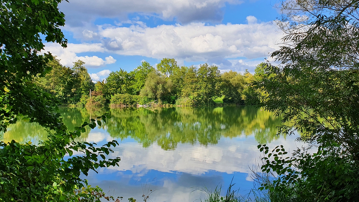 Rozw&oacute;j MCCLXXXIX