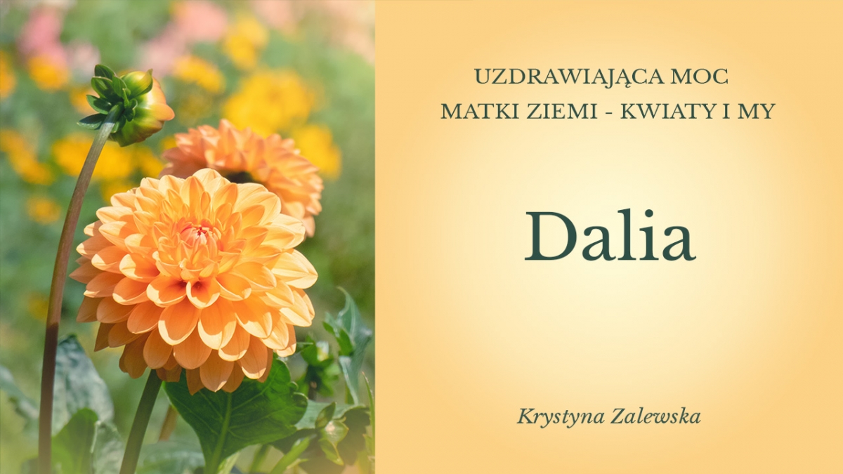 Uzdrawiająca moc Matki Ziemi - Kwiaty i my III