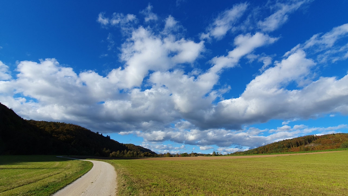 Rozw&oacute;j MCCCXCII