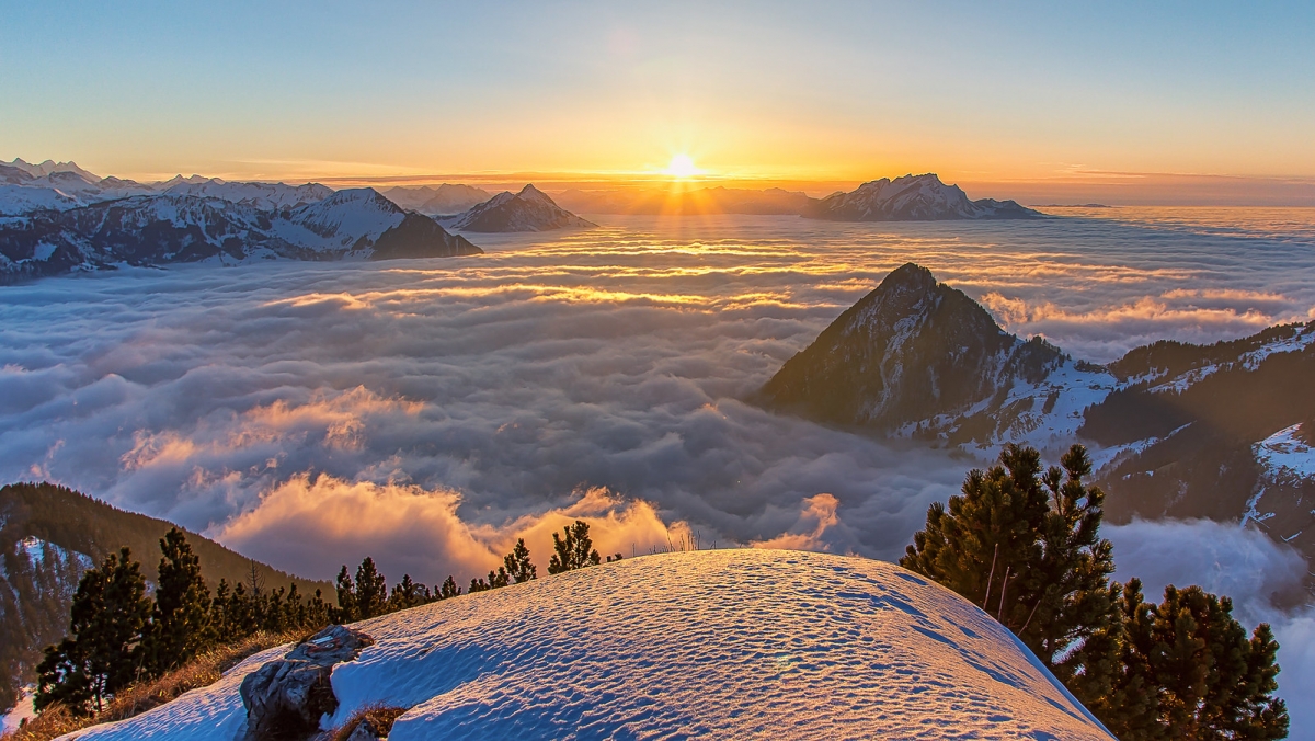 Rozw&oacute;j DCCCLXI