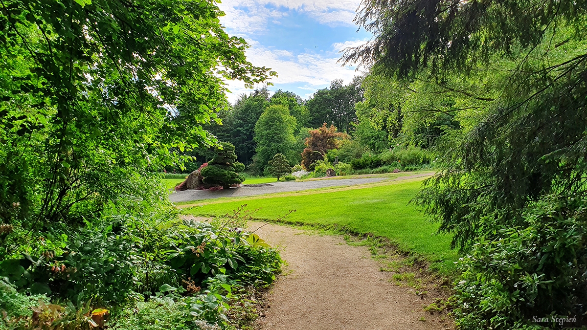 Rozw&oacute;j MCXXVI