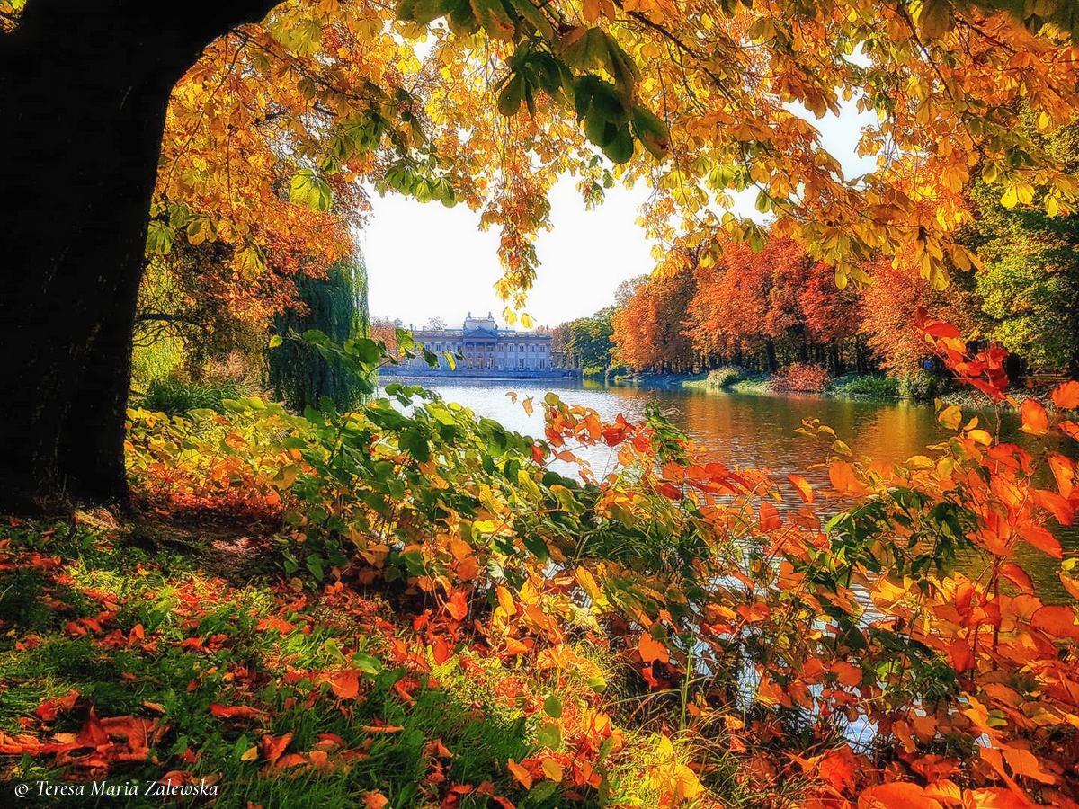 Rozw&oacute;j CCCLXIX