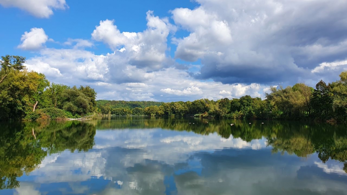 Rozw&oacute;j MCCCLXXIX