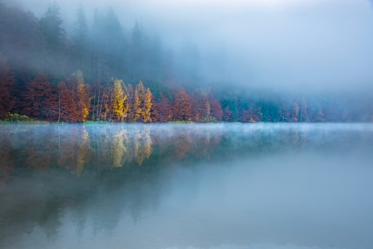 Rozw&oacute;j DCCCLVII